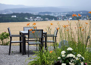 Ride on the Bimmelbahn to dinner with a view of Zurich