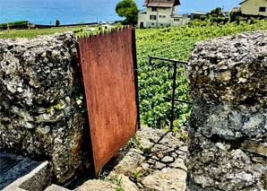 Apéro und Abendschmaus im Lavaux