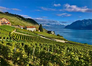 Apéro und Abendschmaus im Lavaux