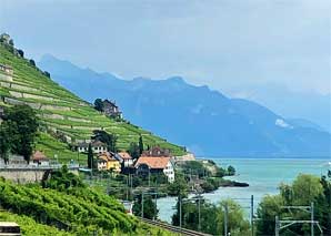 Apéro und Abendschmaus im Lavaux