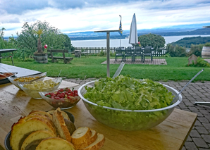 Barbecue über dem Bielersee mit Weindegustation