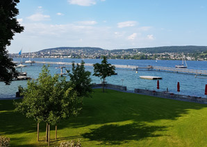 Party estivale avec barbecue au bord du lac de Zurich