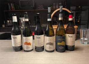 Wein-Tasting in Thun