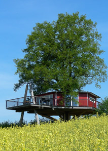 Cabane dans les arbres avec une vue fantastique