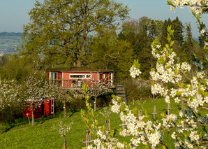 Baumhaus mit Weitblick