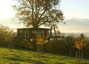 Cabane dans les arbres avec une vue fantastique