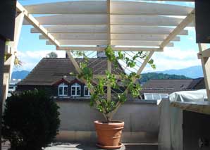 Tavolata above and below the roofs of Lucerne