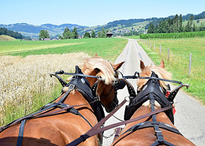 Bierfondue im Emmental