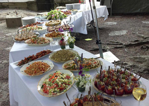 Votre fête dans la villa du jardin à Berne