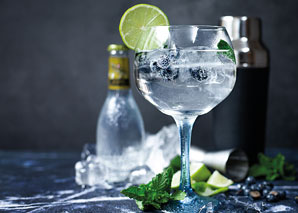 Gin-Tasting in Baden