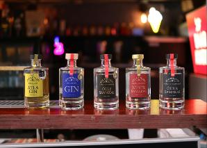 Gin-Tasting oder -Workshop in Solothurn