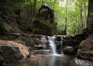 Culinary visit to the Verenaschlucht