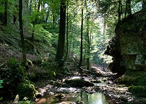 Culinary visit to the Verenaschlucht