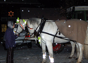 Raclette by carriage