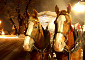 Raclette by carriage