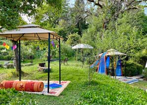 Fête d'été dans une oasis de verdure