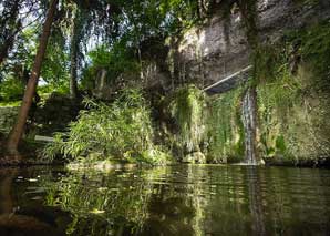 Summer party in a green oasis