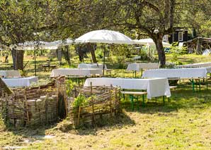 Fête d'été dans une oasis de verdure