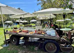 Fête d'été dans une oasis de verdure