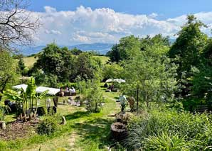 Fête d'été dans une oasis de verdure