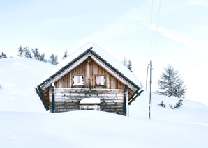 Forest hut fun - everything organized