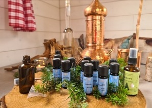 Winter forest experiences with your team Winter or Christmas events for your team in the magical winter forest