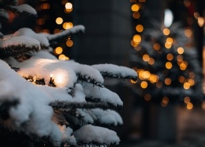 Winter forest experiences with your team Winter or Christmas events for your team in the magical winter forest