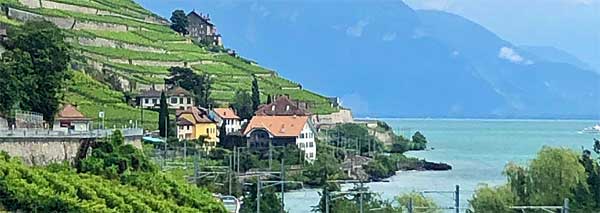 Apéro und Abendschmaus im Lavaux