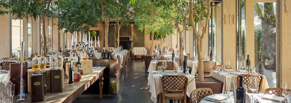 Bbq In The Glass House Between Plane Trees Erlebnisessen