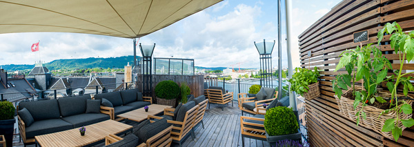 Apéro mit Blick über den Zürichsee und Abendessen