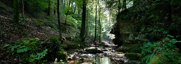 Kulinarische Verenaschlucht