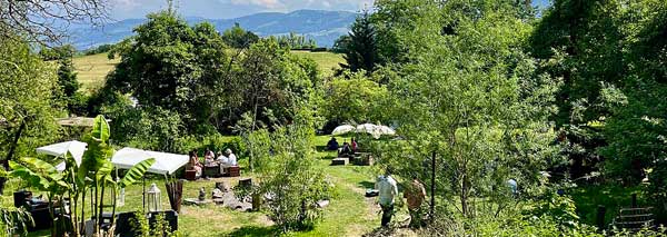 Fête d'été dans une oasis de verdure