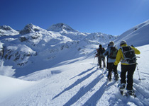 Wildtier-Erlebnis auf Schneeschuhen