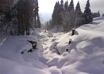 Magie de l'hiver dans une cabne en forêt