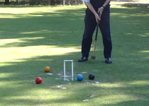 A game of croquet on the polo pitch