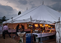 Barbecue romantique au cours d'une nuit d'été