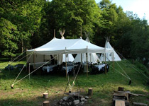 Barbecue romantique au cours d'une nuit d'été