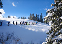 Schneeschuhtour mit Lawinenkunde