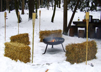 Fondue dans la forêt