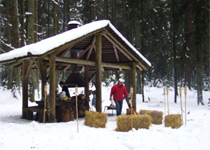 Fondue dans la forêt