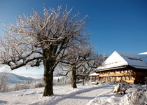 Festschmaus im Emmental mit Fackelwanderung