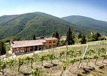 Wine and gourmet journey in the Ticino