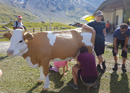 Älplerspiele im Berner Oberland