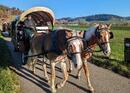 An Emmental grill by horse and cart