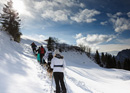 Husky-Trekking mit Fondueplausch