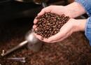 Coffee roasting in Biel