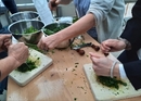 Atelier sur les herbes au lac de Constance