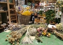 Atelier de fleurs séchées