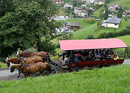 Carriage ride Weggis Luzern