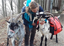 Randonnée oie hors ligne dans l'Emmental